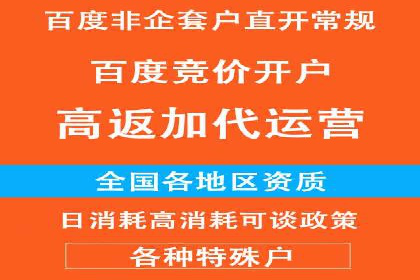 成功案例解析：SEM竞价托管的优化之路